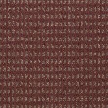 Philadelphia Commercial Special Project Commercial Sp288 Russet