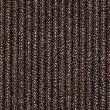 Philadelphia Commercial Special Project Commercial Sp308 Magpie