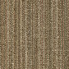 Philadelphia Commercial Special Project Commercial Sp520 Strike It Rich