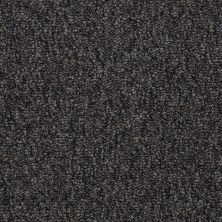 Philadelphia Commercial Special Project Commercial Sp527 Black Diamond 00501_SP527