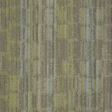 Philadelphia Commercial Special Project Commercial Sp536 Embrace Spirit