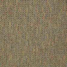 Philadelphia Commercial Gusto Collection Sp555 Vibrant