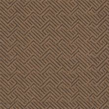 Philadelphia Commercial Roll Special Sp579 Mesa Brown