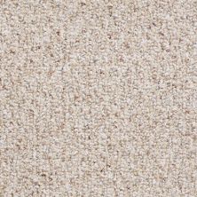 Shaw Floors Roll Special First Call 12 Sisal Weave 00200_SP611