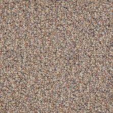 Shaw Floors Roll Special First Call 12 Moonlight Path 00201_SP611
