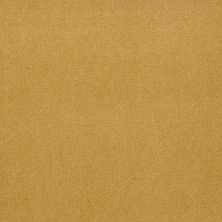 Philadelphia Commercial Special Project Commercial Sp659 Sunflower