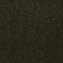 Philadelphia Commercial Special Project Commercial Sp659 Artichoke