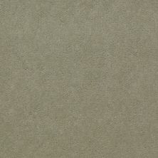 Philadelphia Commercial Special Project Commercial Sp660 Dew Green