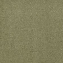 Philadelphia Commercial Special Project Commercial Sp660 Island Green