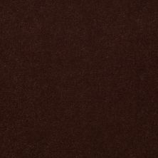 Philadelphia Commercial Special Project Commercial Sp660 Hazelnut