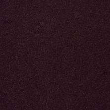 Philadelphia Commercial Special Project Commercial Sp660 Perfect Plum