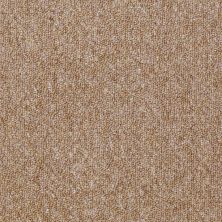 Philadelphia Commercial Special Project Commercial Sp682 Majority