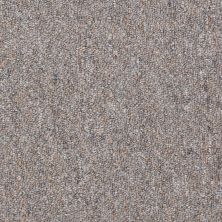 Philadelphia Commercial Special Project Commercial Sp682 Electoral Vote