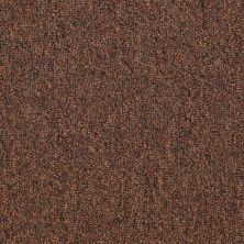 Philadelphia Commercial Special Project Commercial Sp682 Land Slide