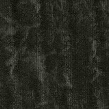 Shaw Floors Special Project Commercial Sp766 Collective 00510_SP766