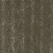 Shaw Floors Special Project Commercial Sp766 Distinction 00700_SP766