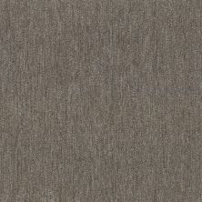Shaw Floors Special Project Commercial Sp782 Tract 00720_SP782