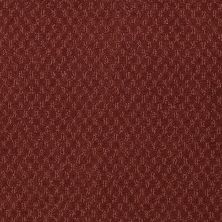 Philadelphia Commercial Special Project Commercial Sp882 Santa Fe Red 98851_SP882