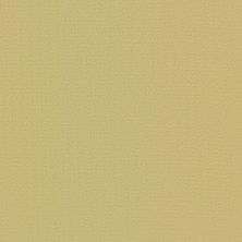 Philadelphia Commercial Special Project Commercial Sp918 Glaze