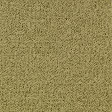 Philadelphia Commercial Special Project Commercial Sp918 Herbal