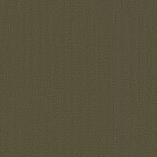 Philadelphia Commercial Special Project Commercial Sp918 Ivy