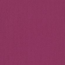 Philadelphia Commercial Special Project Commercial Sp918 Calypso