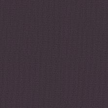 Philadelphia Commercial Special Project Commercial Sp918 Eggplant