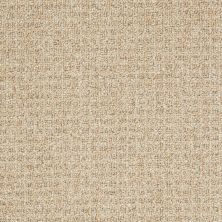 Philadelphia Commercial Special Project Commercial Sp950 Straw Weave 00200_SP950