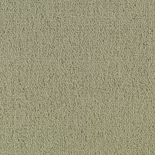 Philadelphia Commercial Special Project Commercial Sp963 Light Taupe