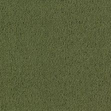 Philadelphia Commercial Special Project Commercial Sp963 Cactus