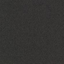 Philadelphia Commercial Special Project Commercial Sp963 Black