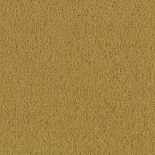 Philadelphia Commercial Special Project Commercial Sp963 Brasserie