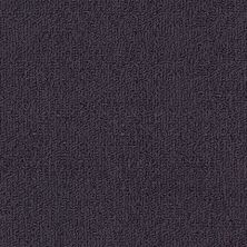 Philadelphia Commercial Special Project Commercial Sp963 Eggplant