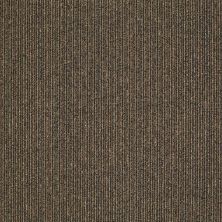 Philadelphia Commercial Special Project Commercial Sp972 Early Bird