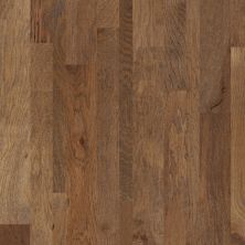 Shaw Floors Shaw Hardwoods Nashville Trolley 00429_SW481