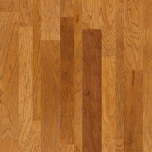 Shaw Floors Shaw Hardwoods Nashville Broadway 00633_SW481