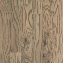 Shaw Floors Shaw Hardwoods Eclectic Oak Art Deco 02028_SW696