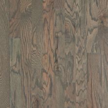 Shaw Floors Shaw Hardwoods Timeless Oak 3.25″ Weathered 00543_SW699