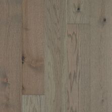 Shaw Floors Repel Hardwood Exploration Oak Journey 05094_SW713