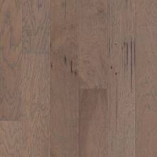Shaw Floors Shaw Hardwoods Form Fit Oxford 02072_SW752
