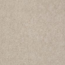 Shaw Floors SFA Painted Jewel Marsh Beige 97140_T1897