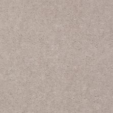 Shaw Floors Carpet Land Atherton Unspecified 29111_T6291
