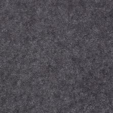 Shaw Floors Carpet Land Atherton Unspecified 29502_T6291