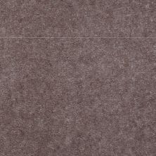 Shaw Floors Carpet Land Atherton Unspecified 29702_T6291