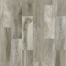 Shaw Floors Legacy 7 X 22 Sterling 00500_TG01D