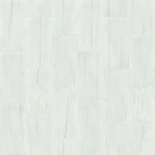 Shaw Floors Home Fn Gold Ceramic Marvel 16×32 Polish Bianco 00150_TG07C