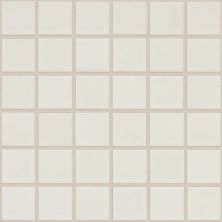 Shaw Floors Home Fn Gold Ceramic Baker Blvd Mosaic 2×2 Warm Grey 00500_TG08G