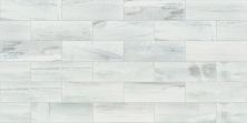 Shaw Floors Waterfalls 4×12 White Water 00125_TG36D