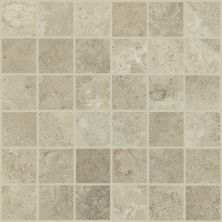 Shaw Floors Home Fn Gold Ceramic Formula Mosaic Cast 00150_TG41B