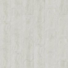 Shaw Floors Home Fn Gold Ceramic Omega 12×24 Bone 00100_TG69D